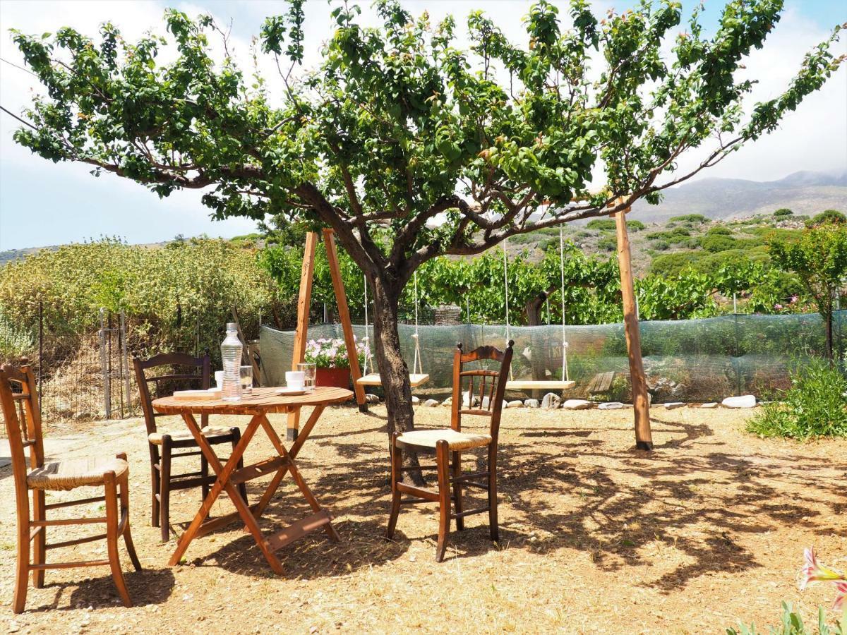 Traditional Cretan Villa Rodhopos Esterno foto